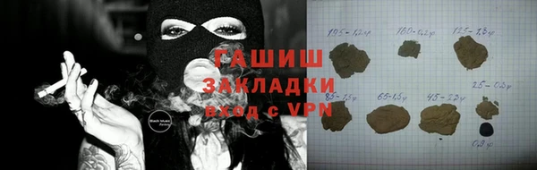 твердый Инсар