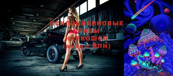 прущий лед Алексин